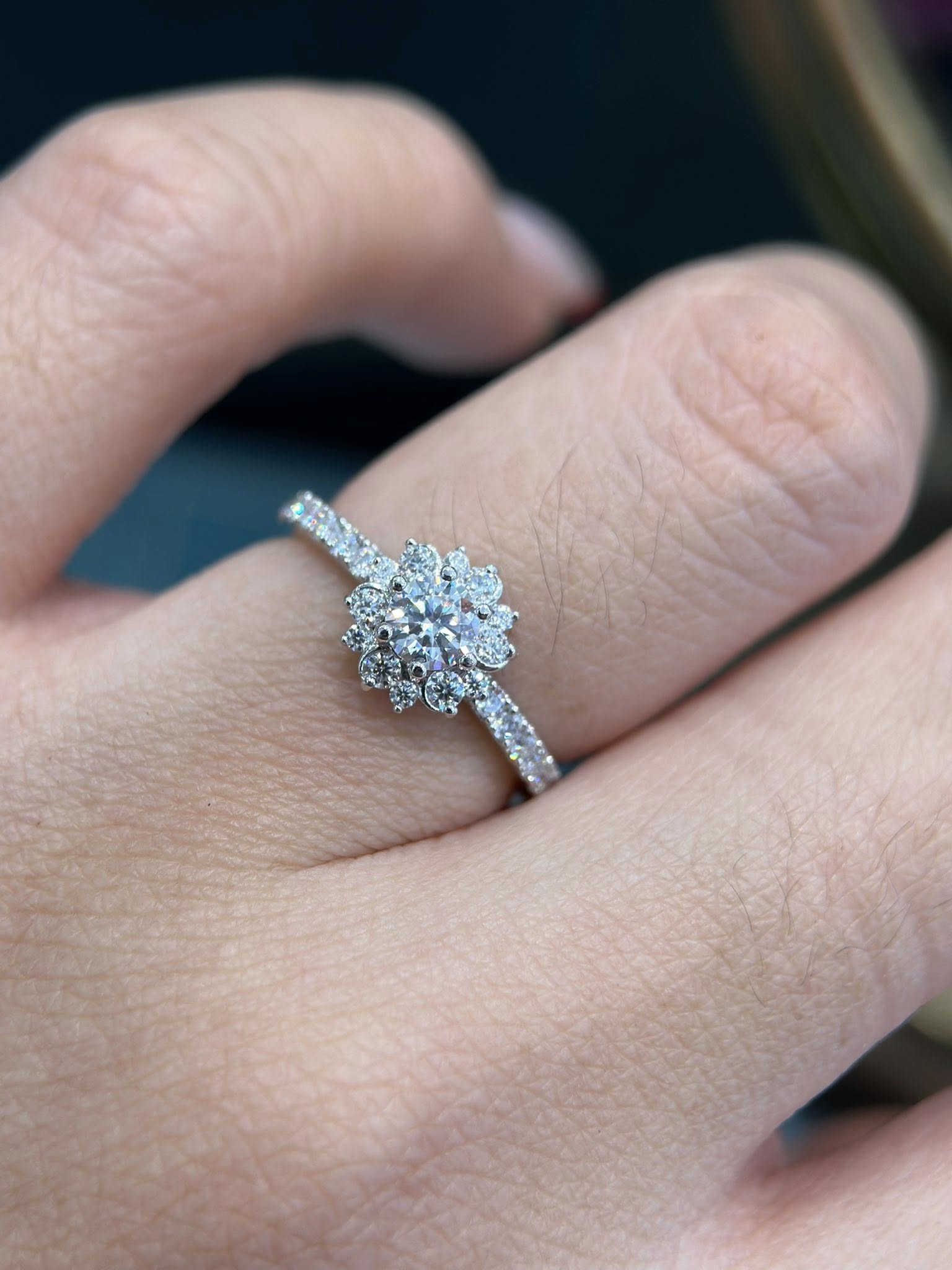 591977491_1152416880424159_5886352324021463619_n