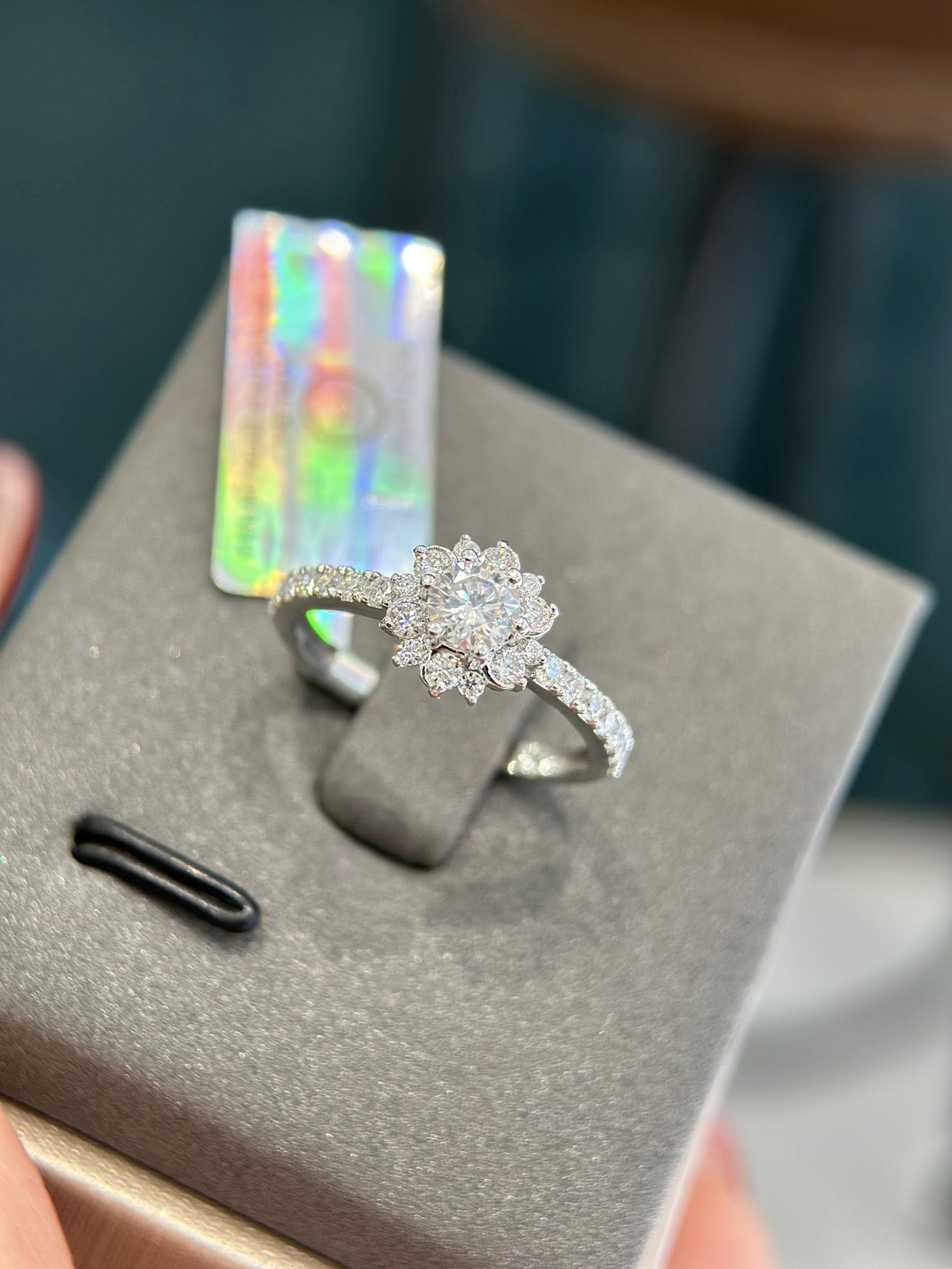 593945498_1152416890424158_3218713896823485805_n